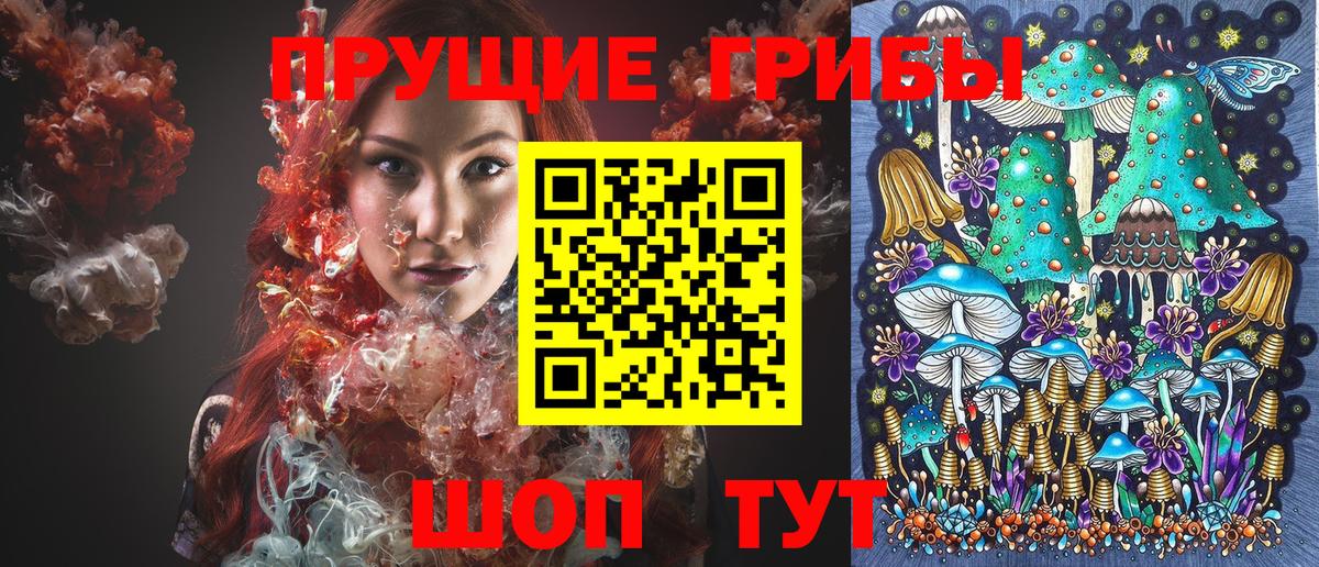 Псилоцибиновые грибы прущие грибы  наркотики  Псилоцибиновые грибы Cubensis  Ростов Великий  Вход с VPN 