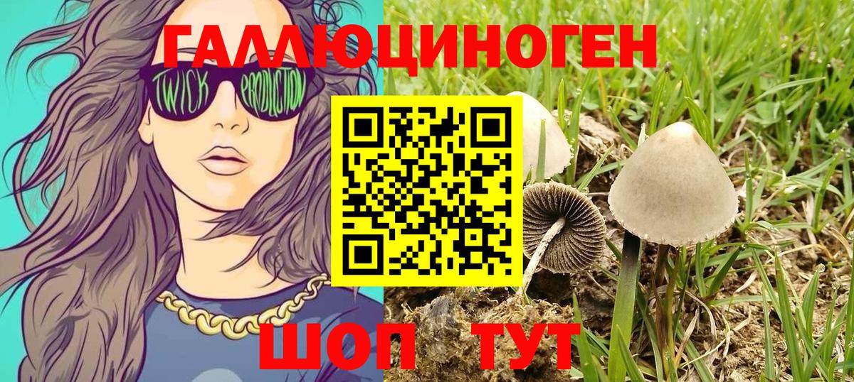 Галлюциногенные грибы Magic Shrooms Ростов Великий
